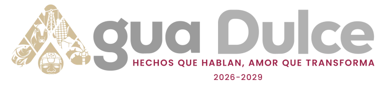 Transparencia Municipal logo